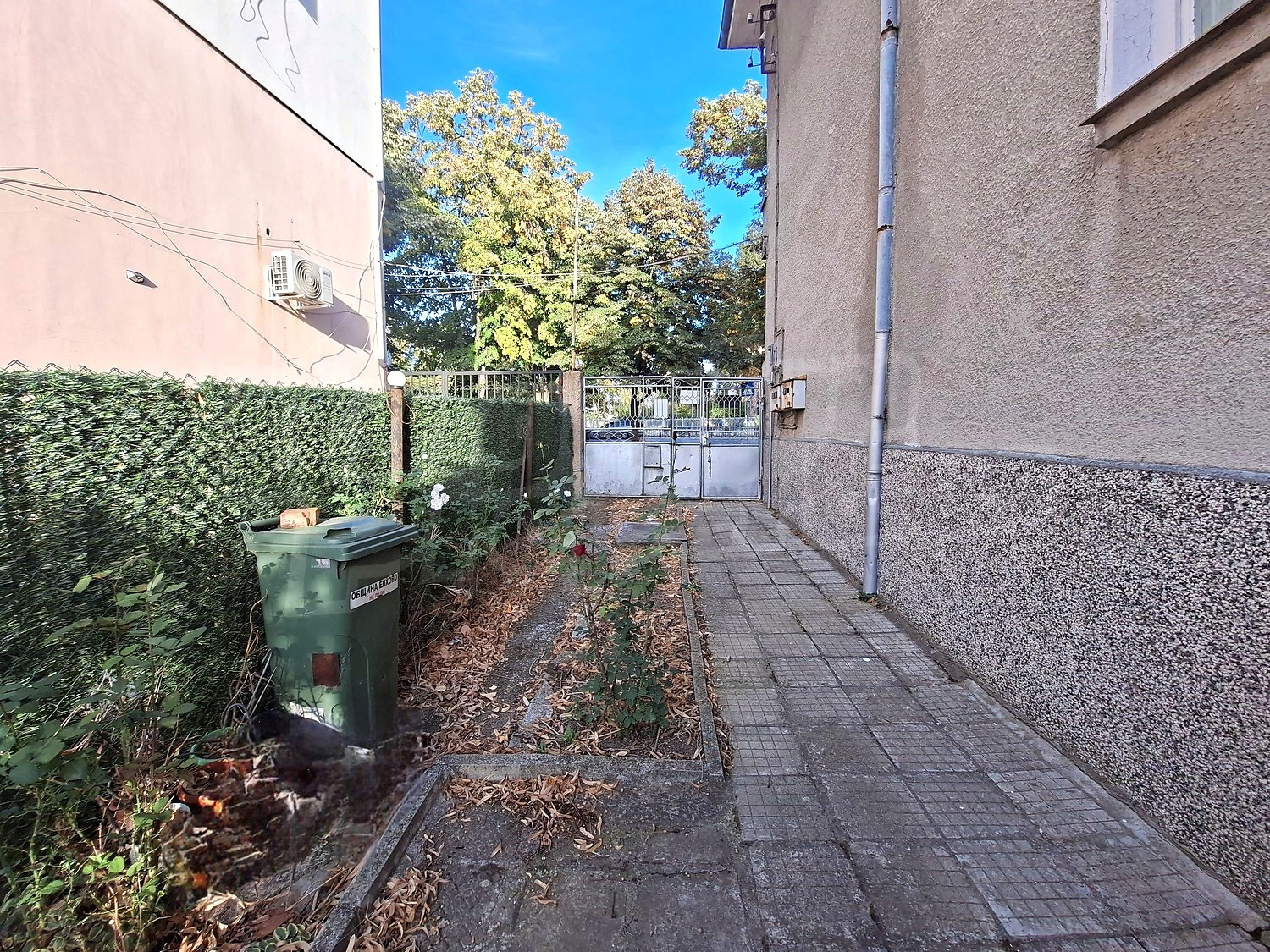 outside, garden