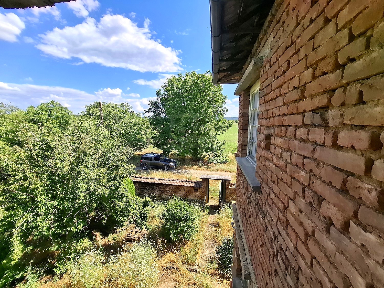 outside, garden