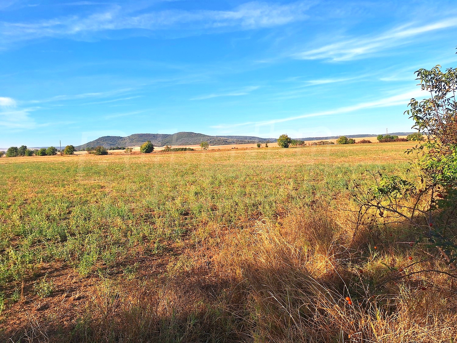 outside, mountain, green area