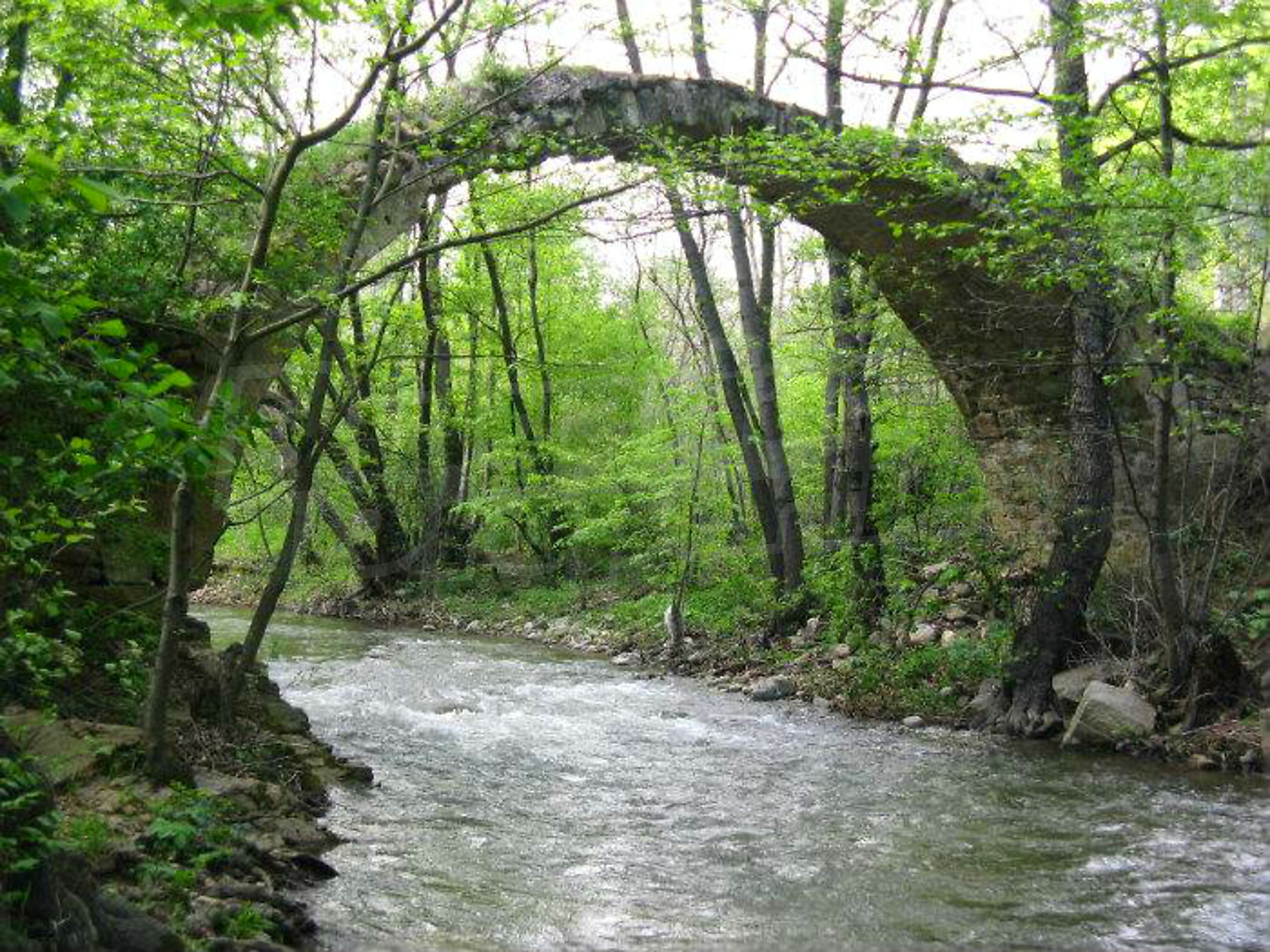 outside, green area