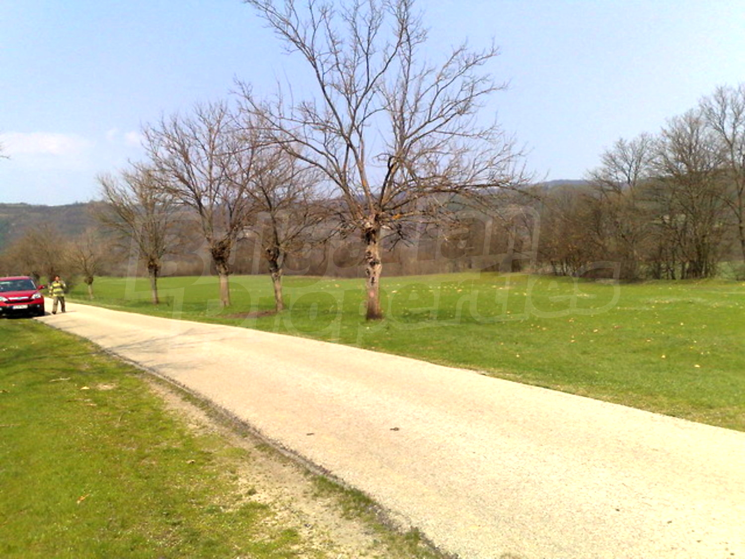 outside, green area