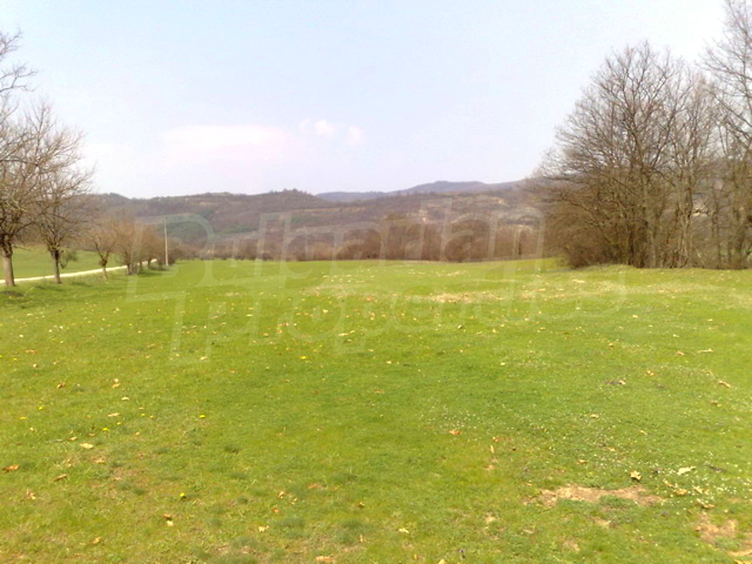 outside, green area, mountain