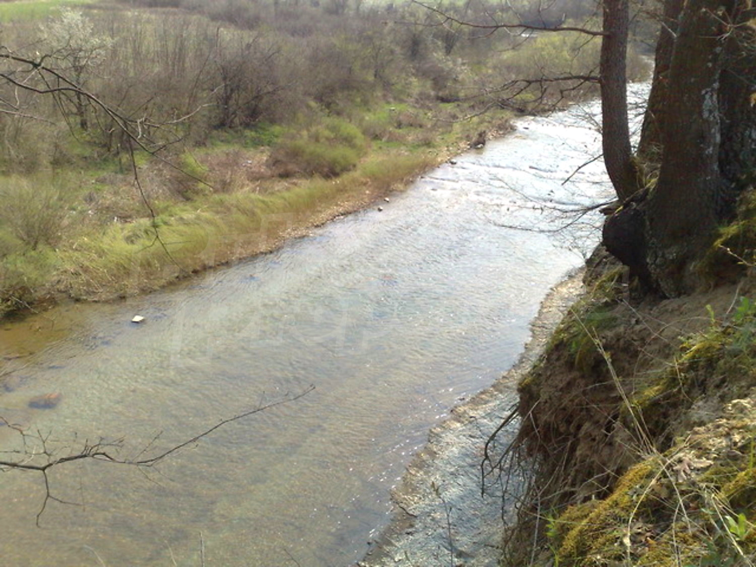 outside, green area