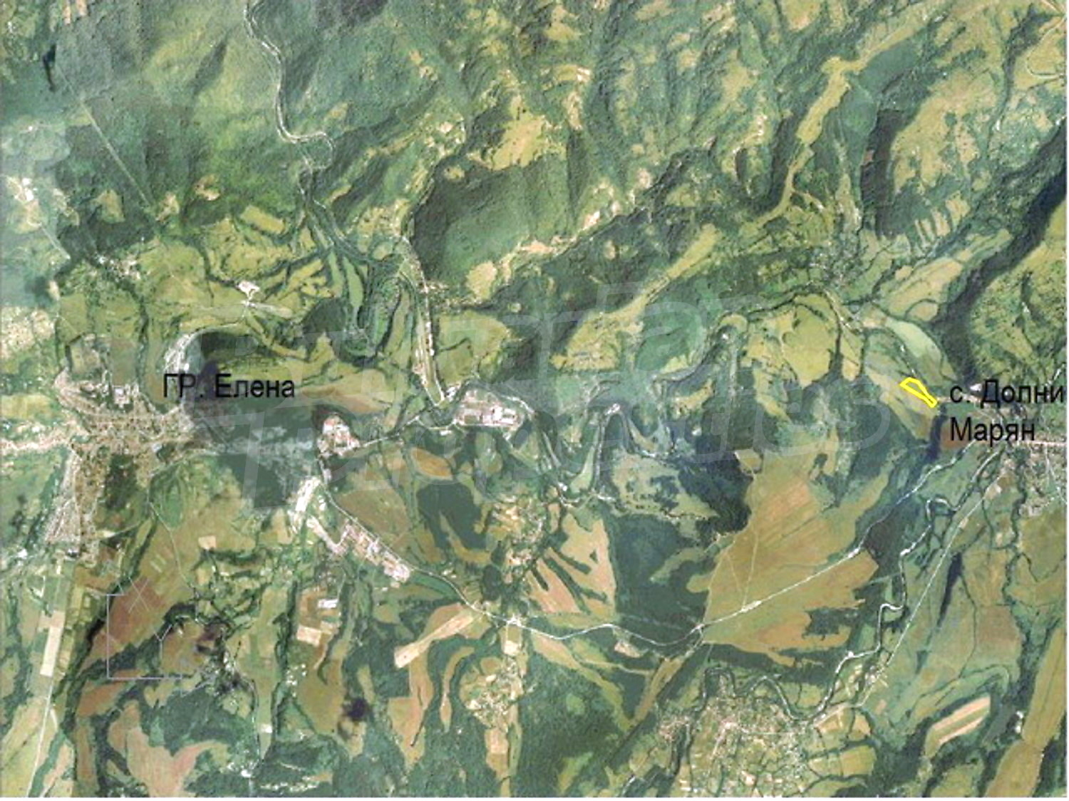 outside, green area