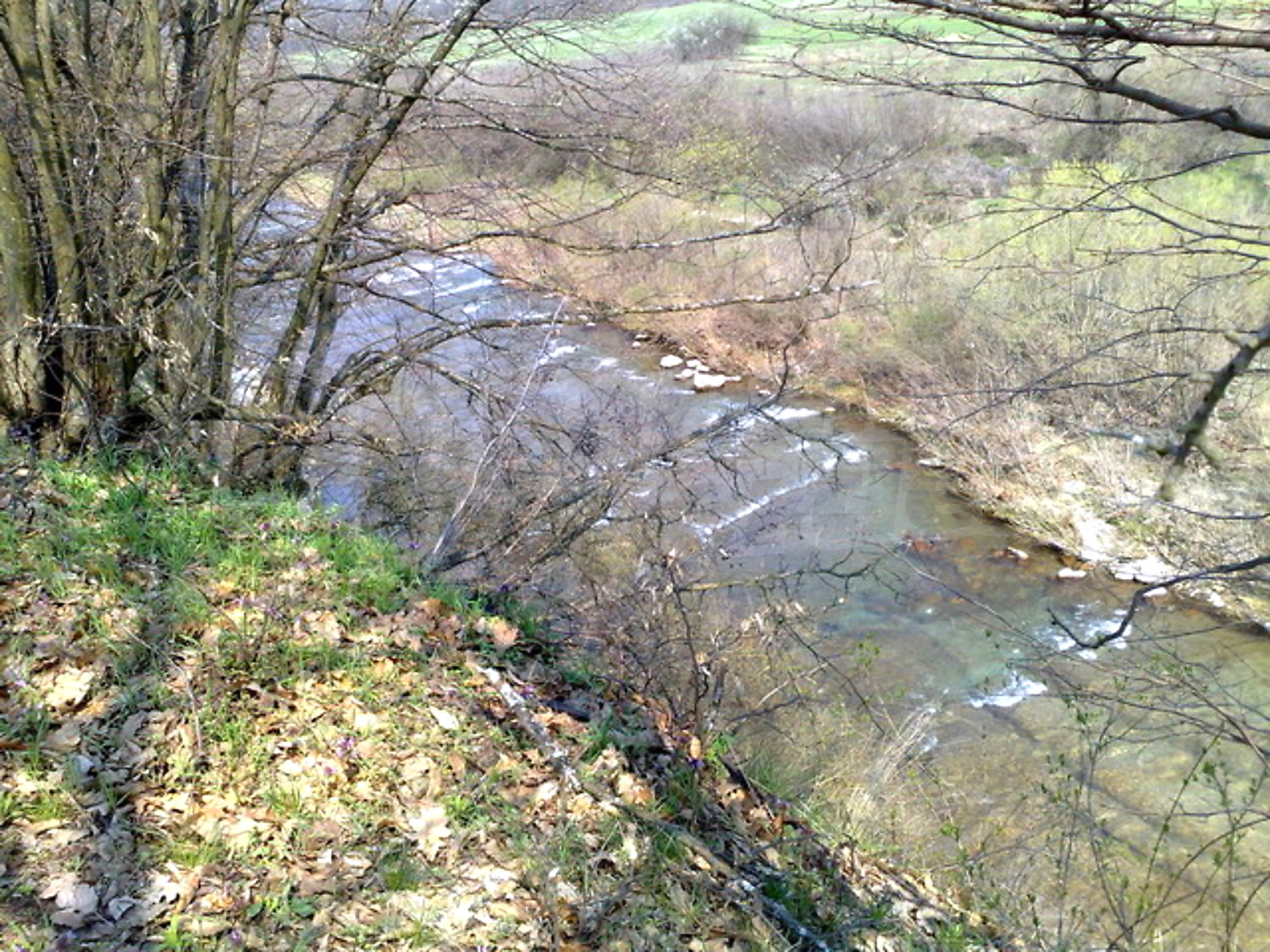 outside, green area