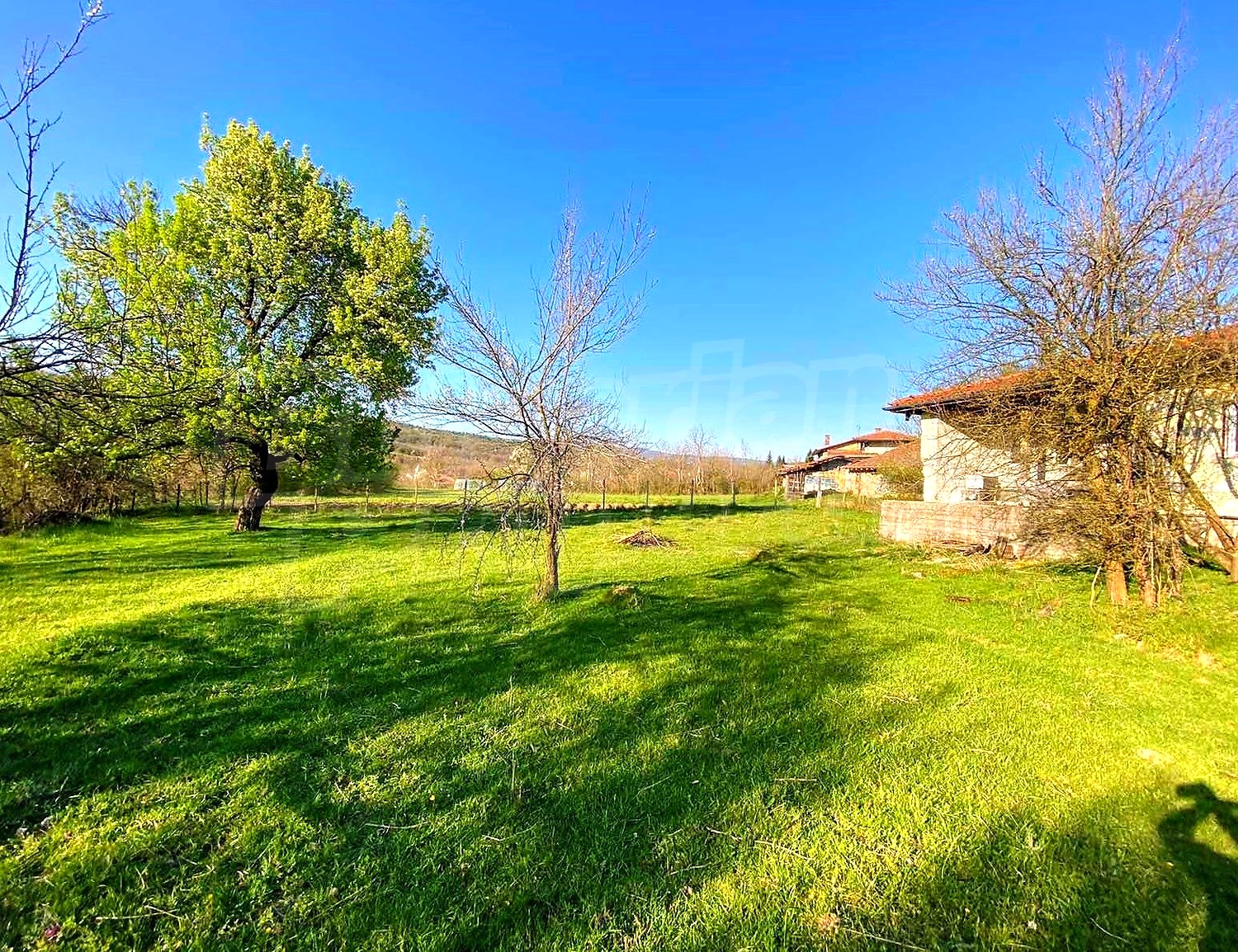 outside, garden, green area