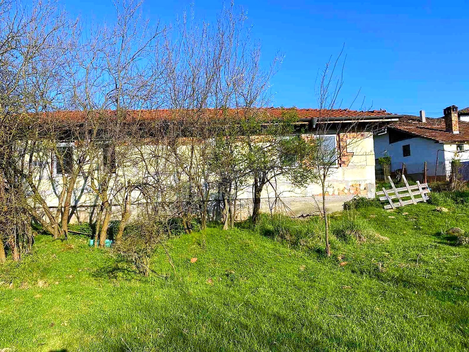 outside, facade, garden, green area