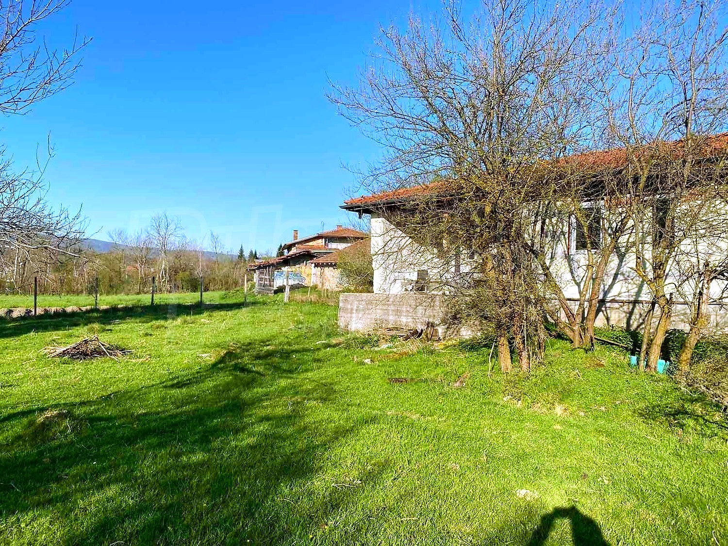 outside, garden