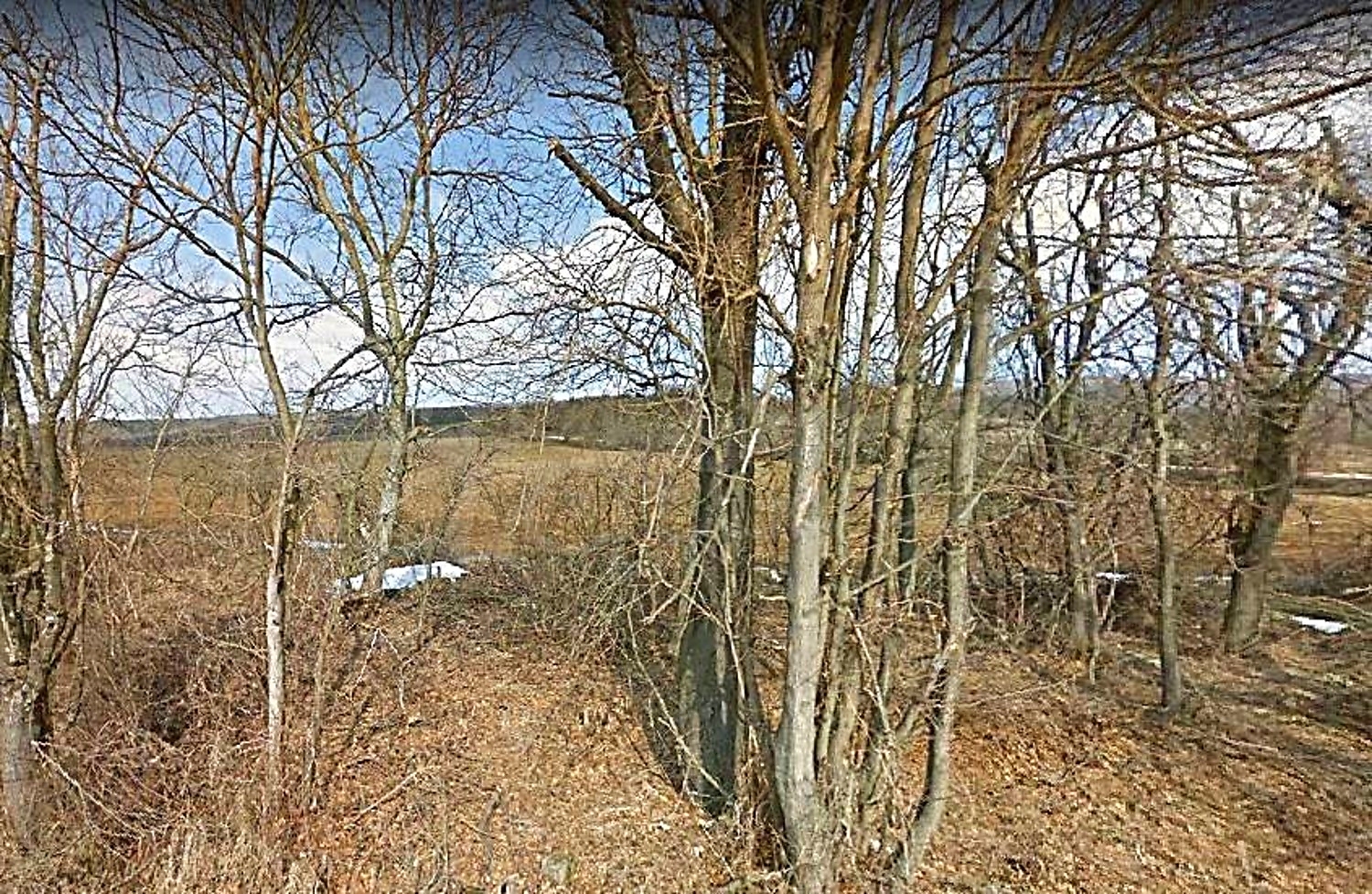 outside, green area