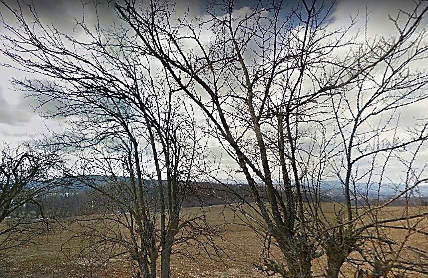 outside, mountain, green area