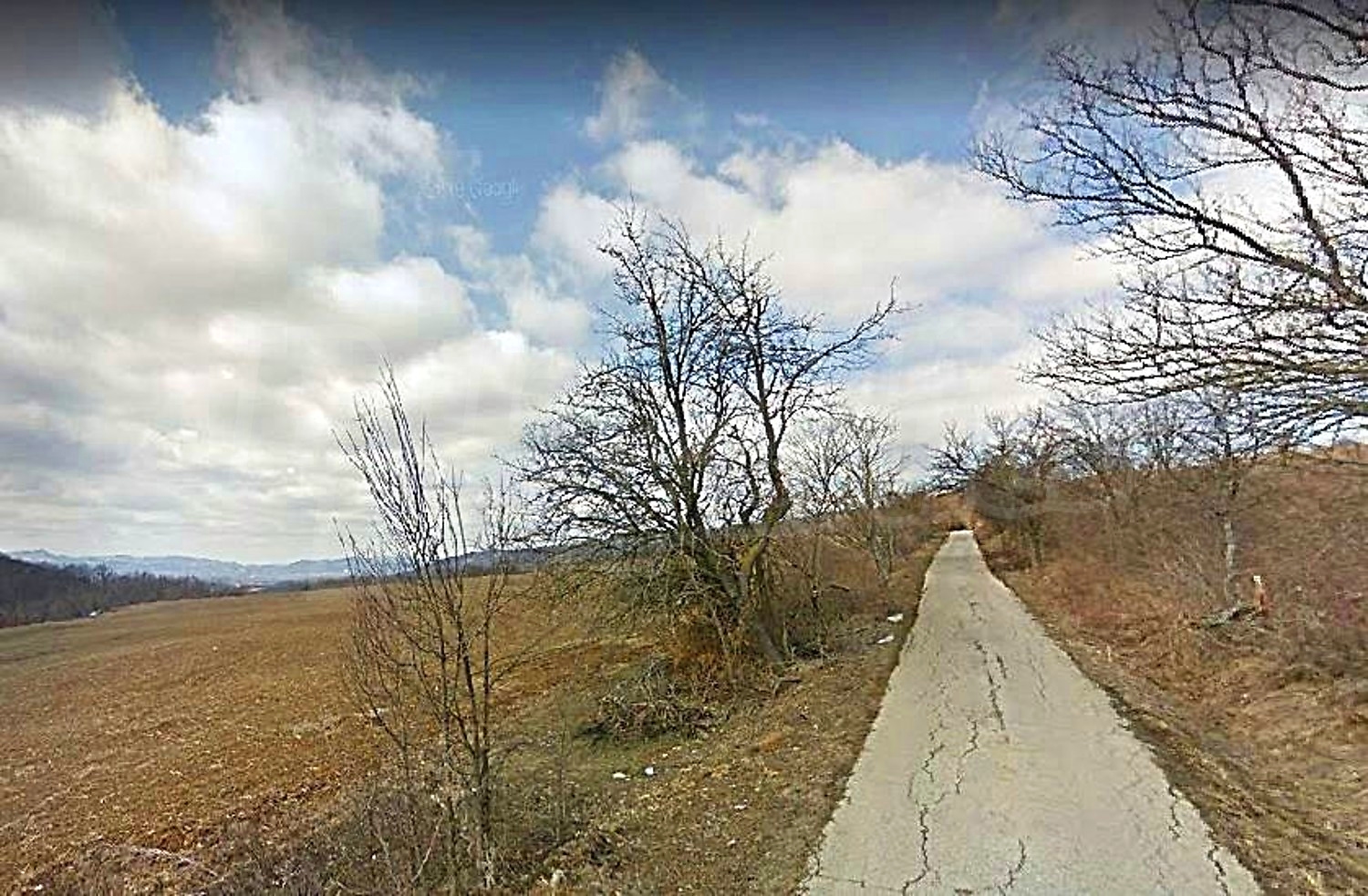 outside, green area