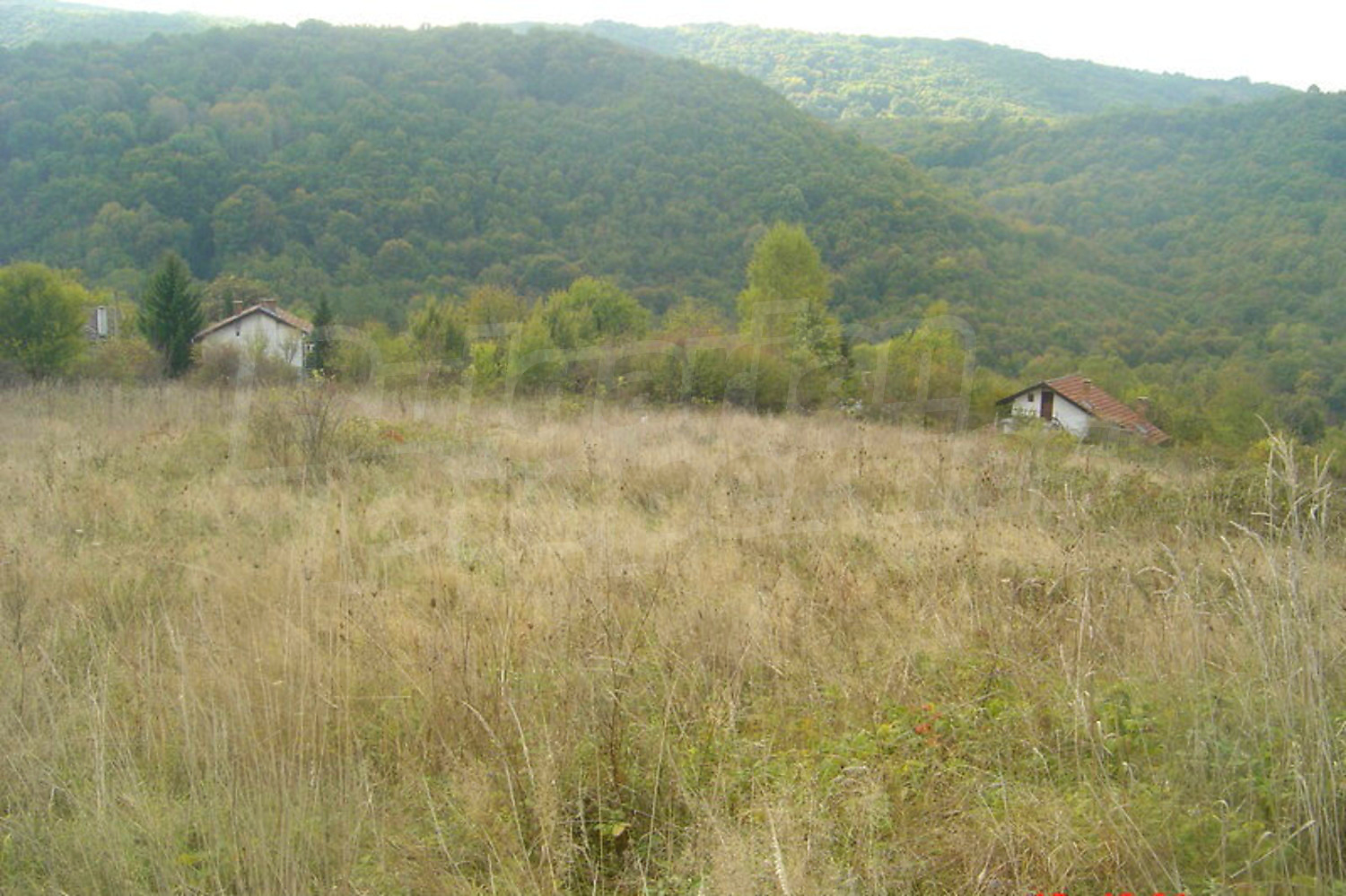 outside, mountain, green area