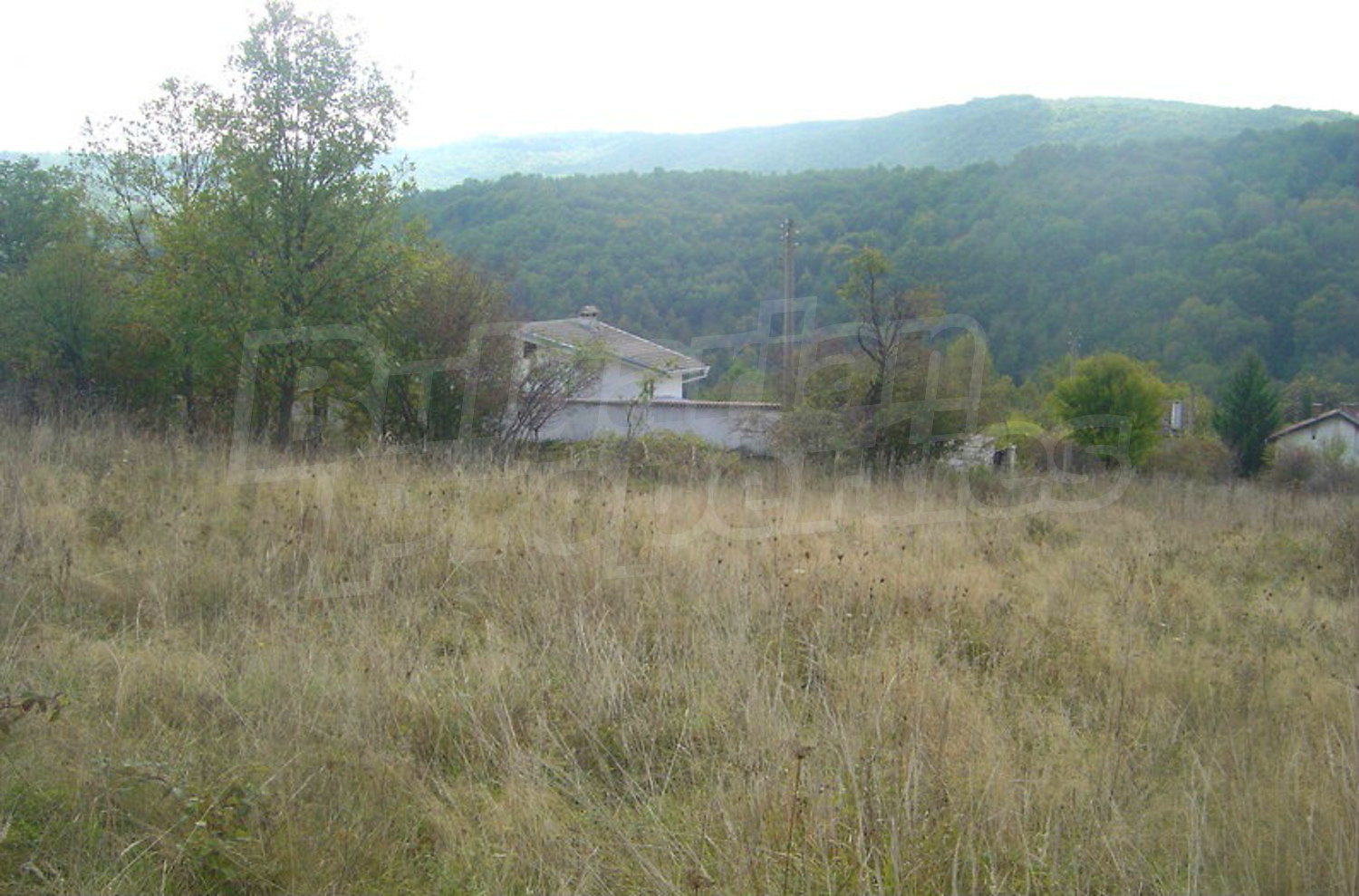 outside, mountain, green area