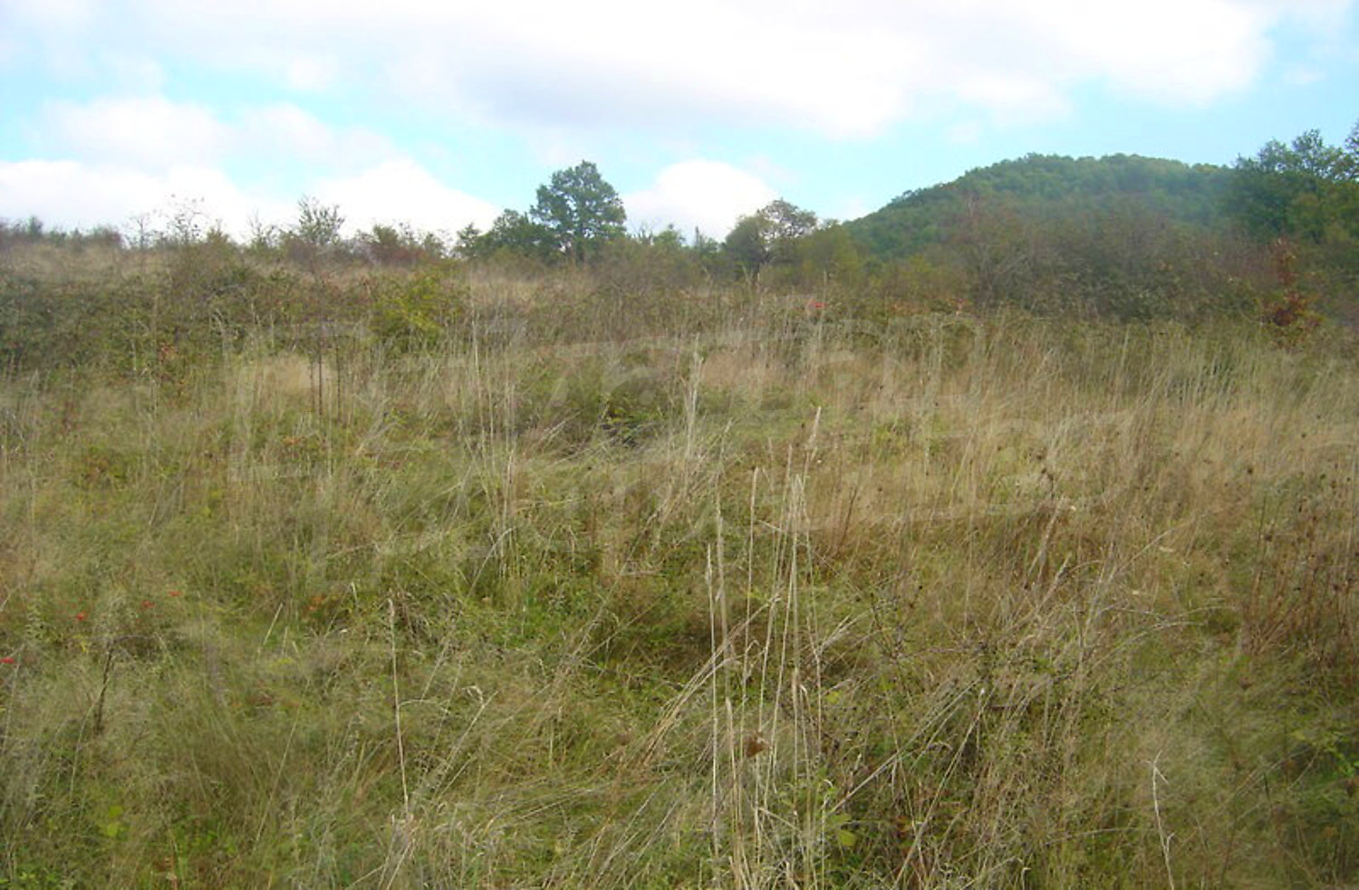 outside, green area, mountain
