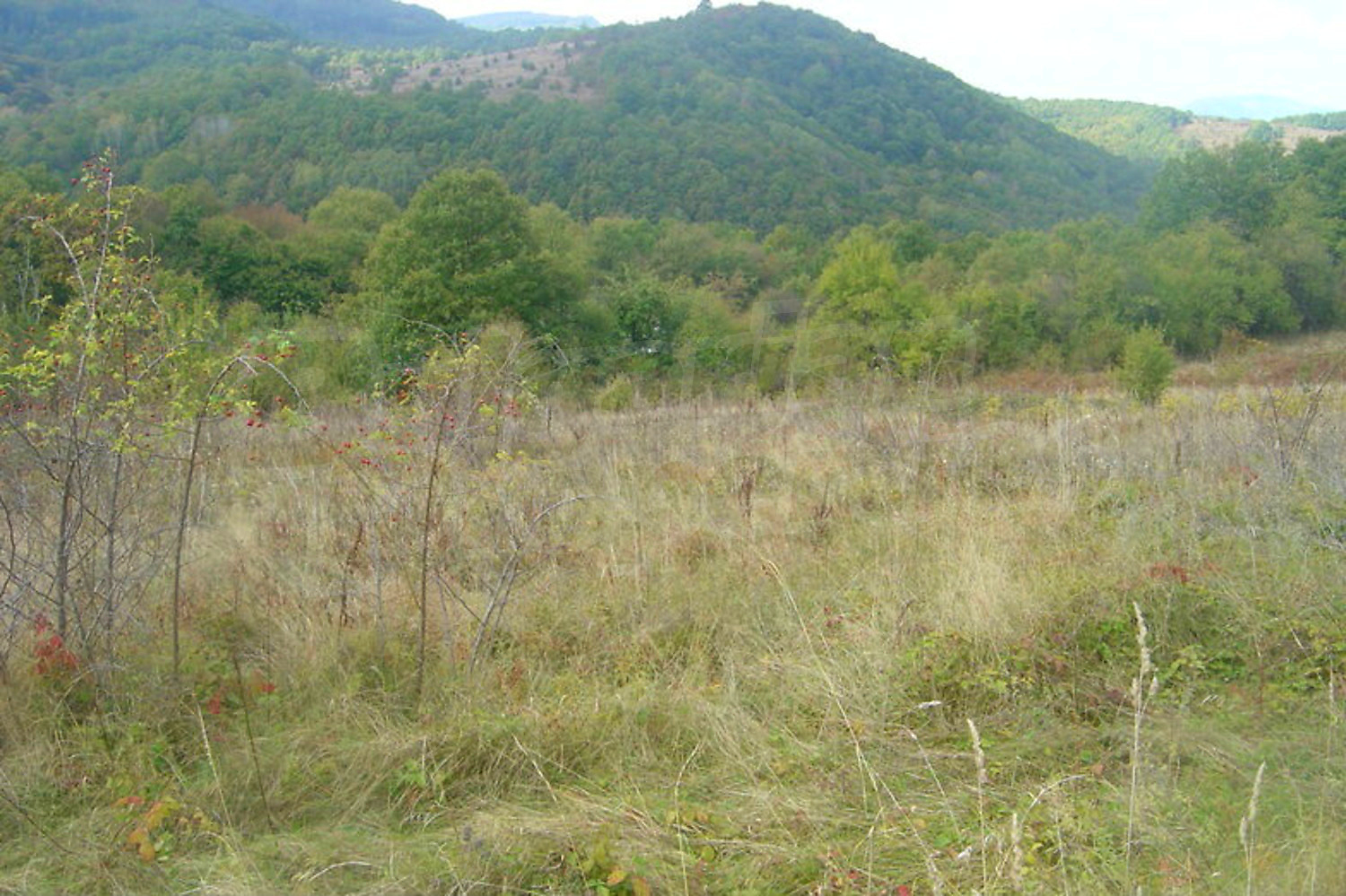 outside, mountain, green area