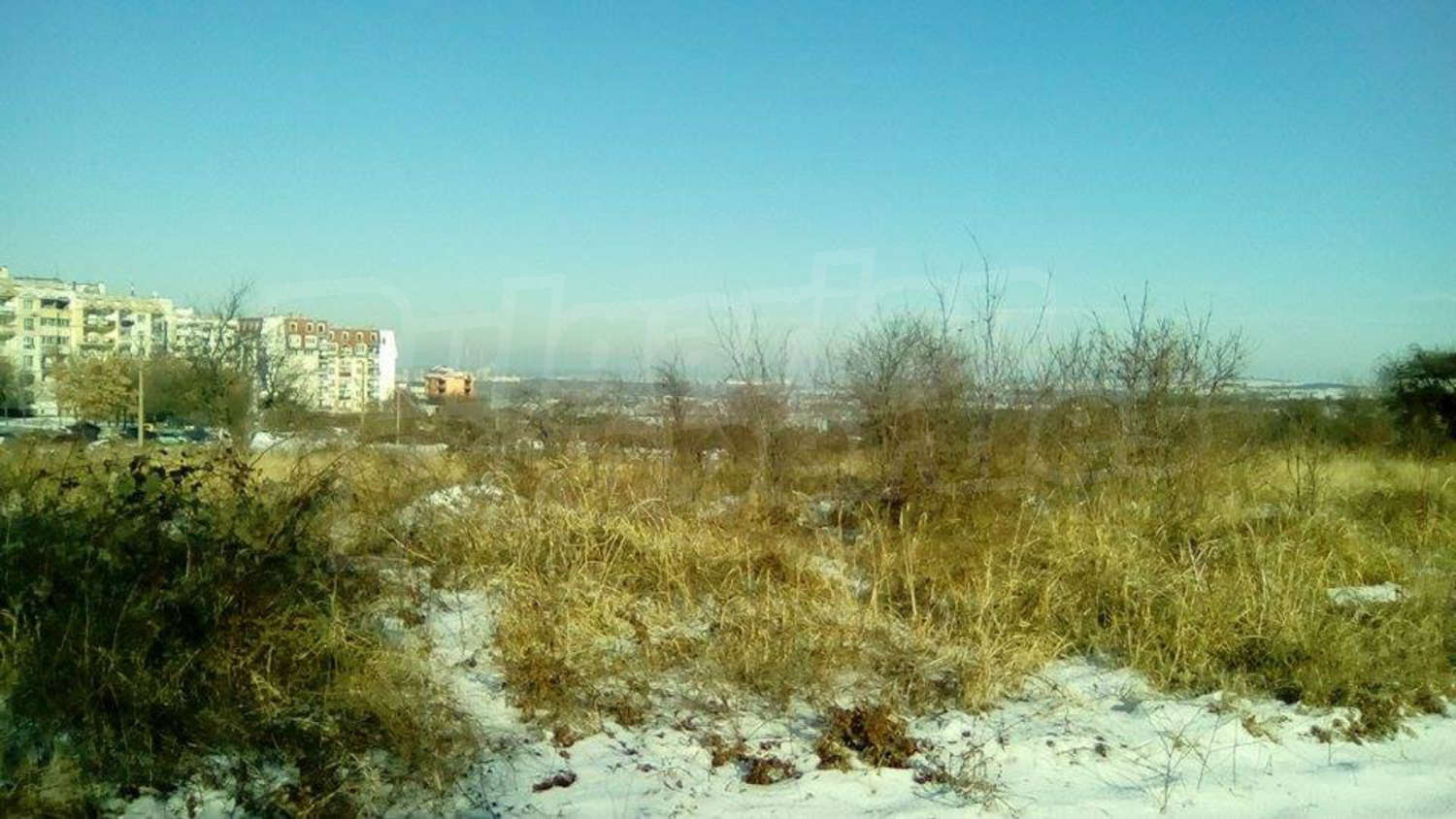 outside, green area