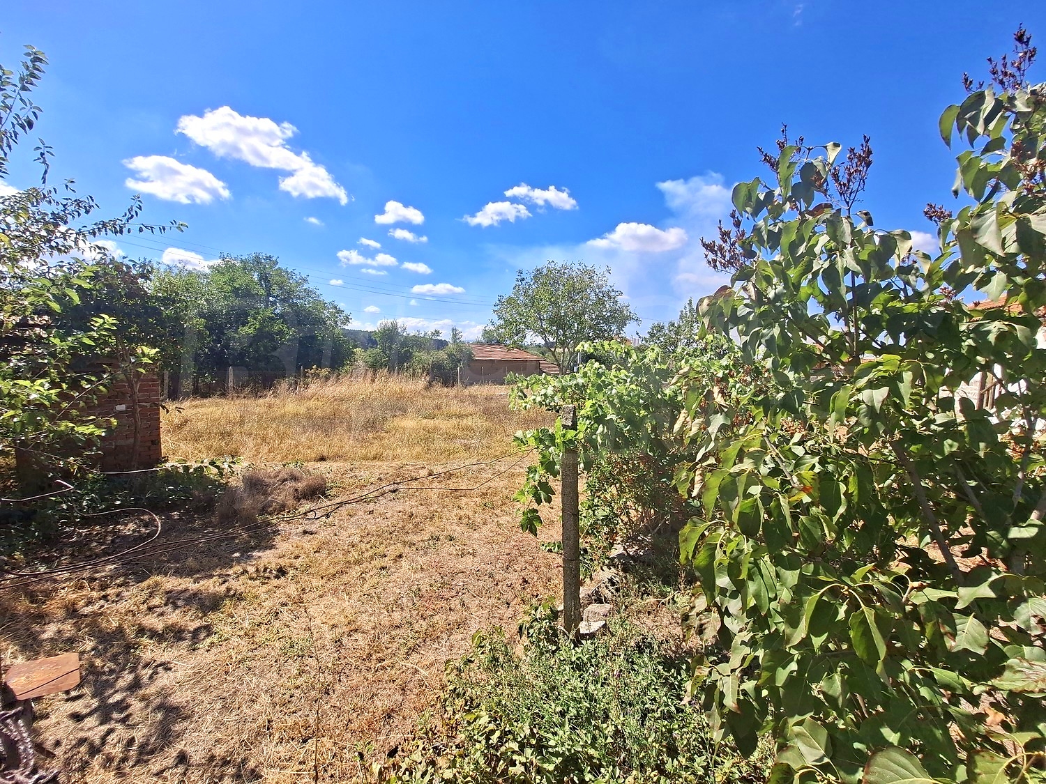 outside, garden, green area