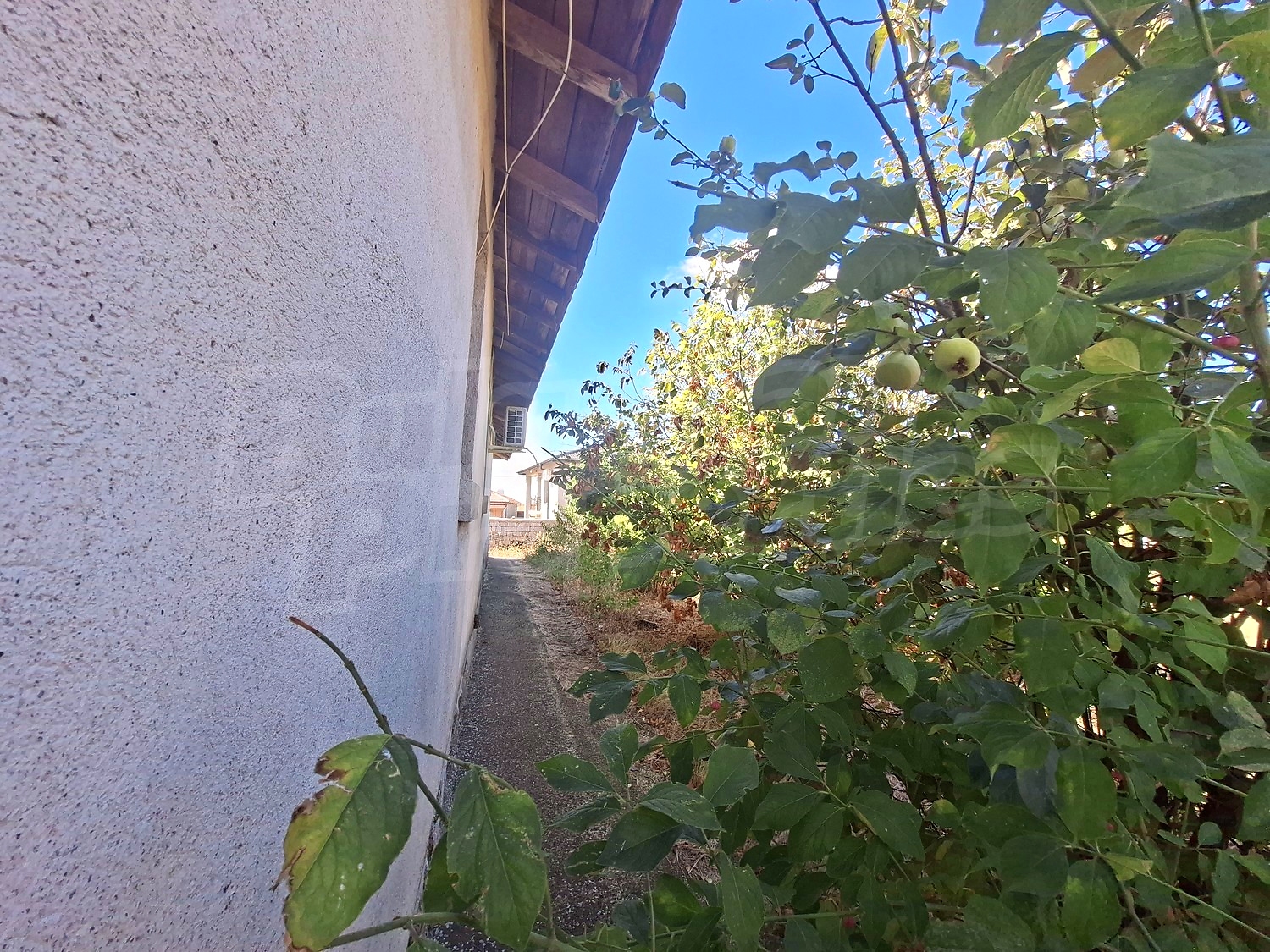 outside, garden