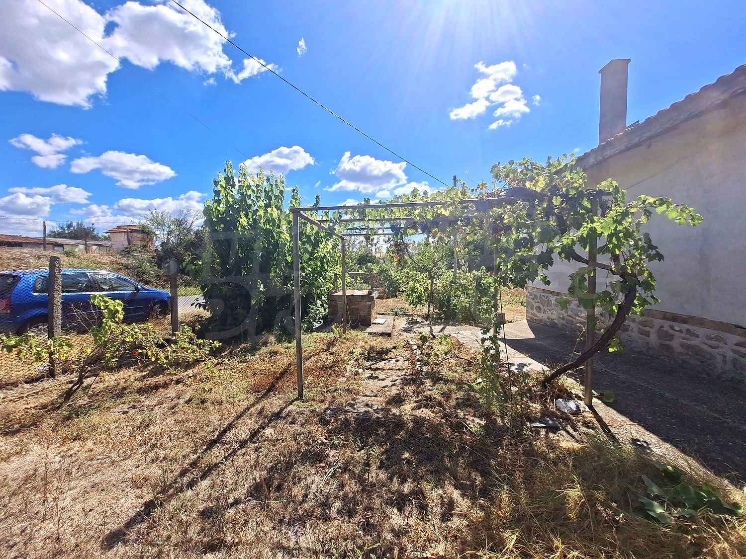 outside, garden