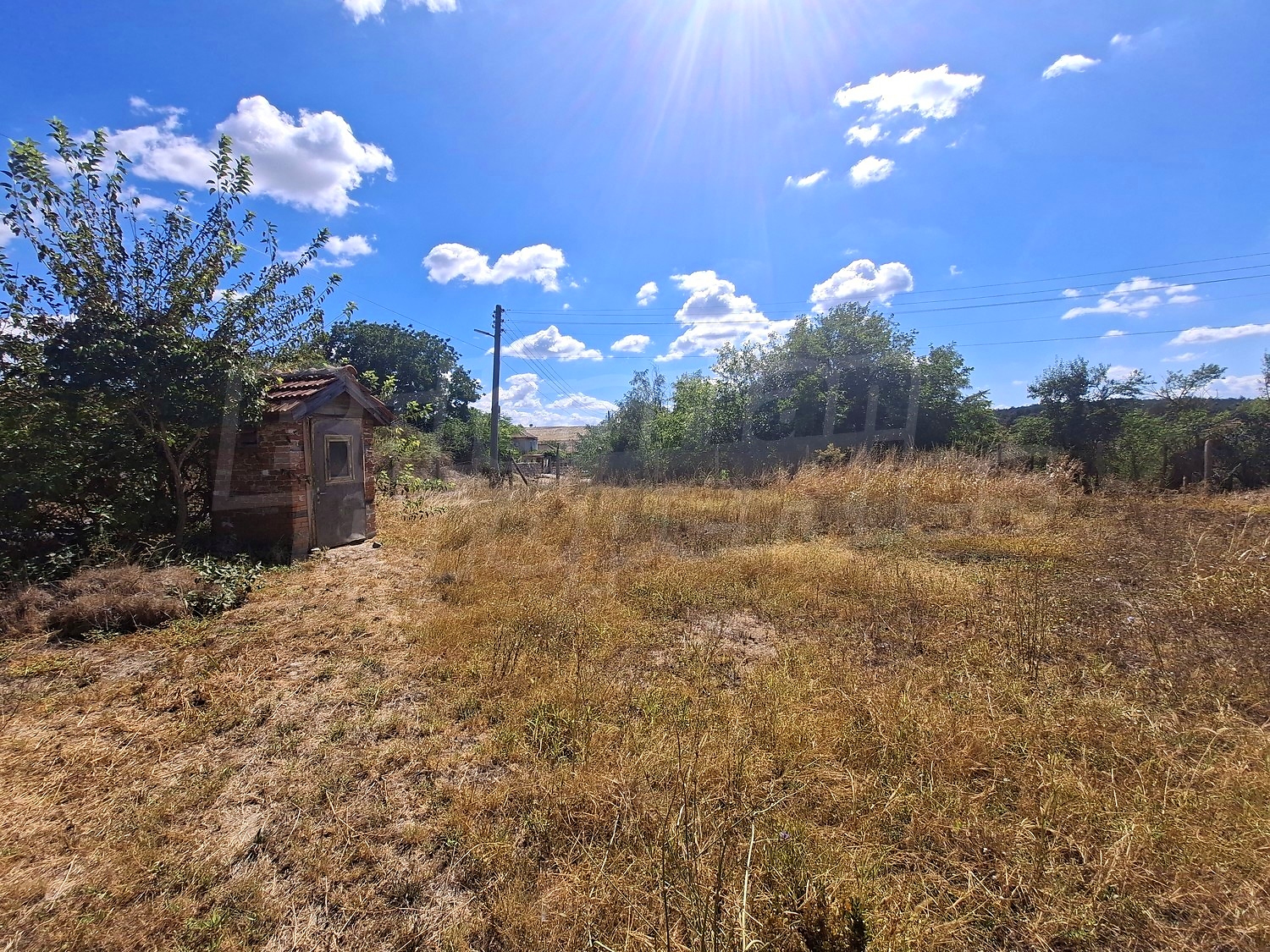outside, garden, green area