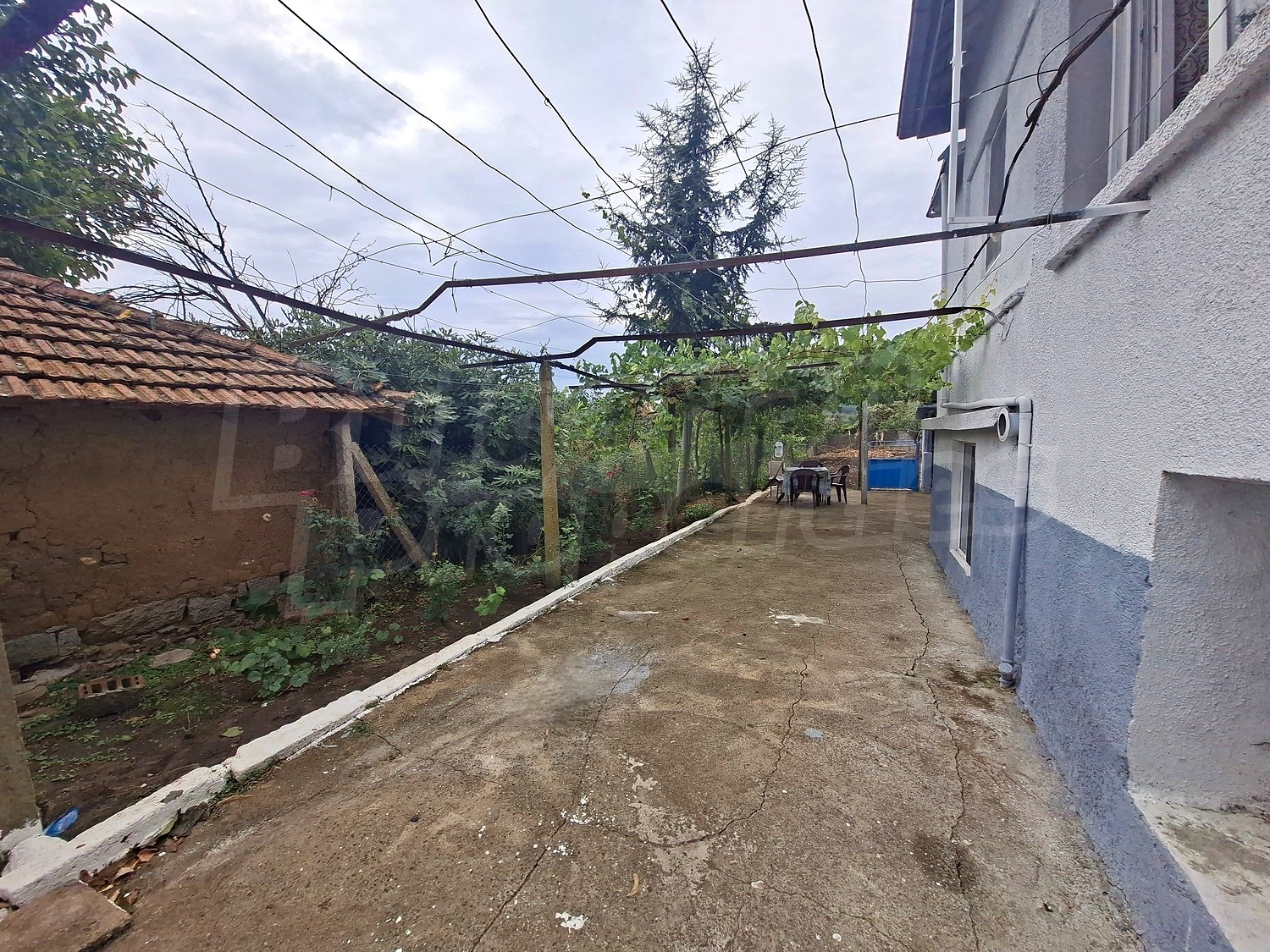 outside, garden