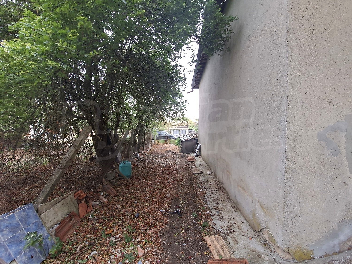 outside, garden