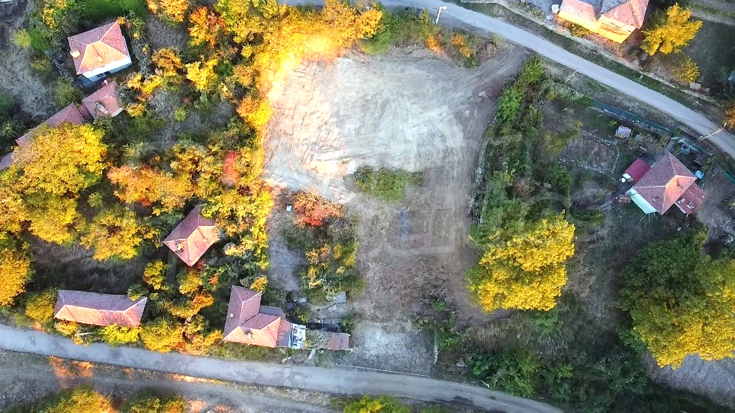 outside, garden, green area