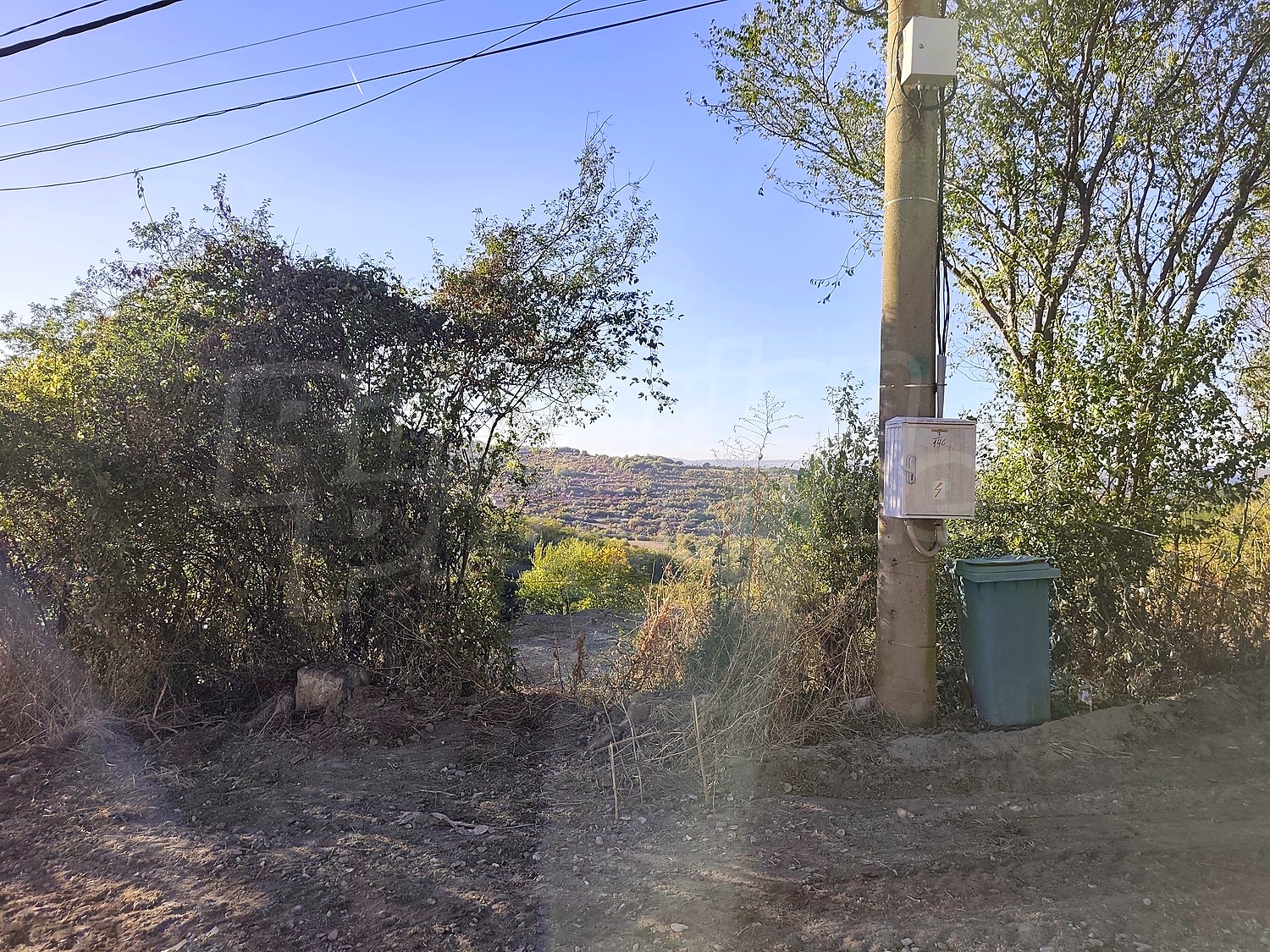 outside, green area