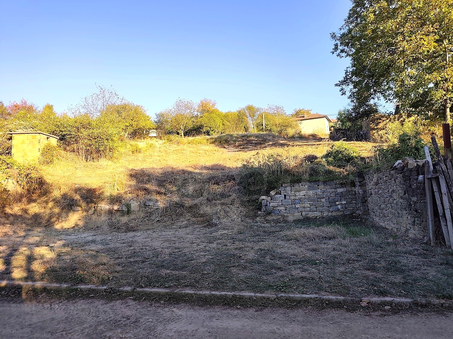 outside, garden, green area