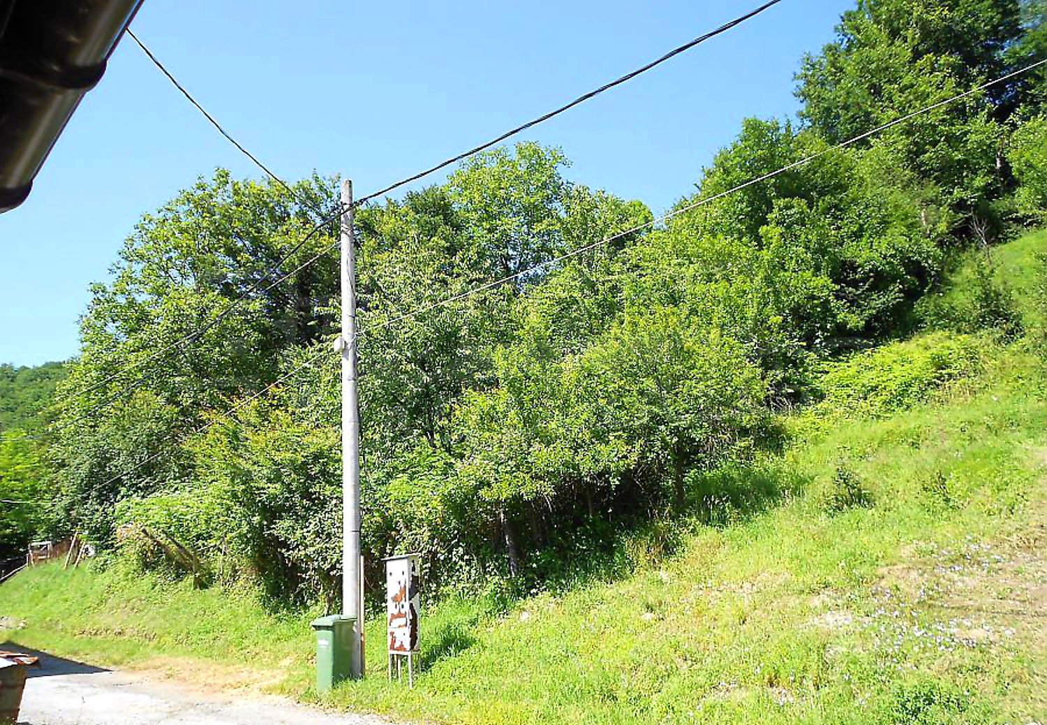 outside, green area