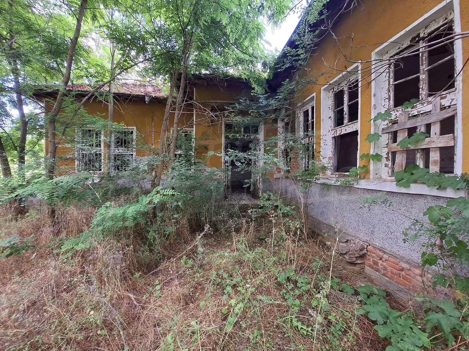 outside, facade, garden