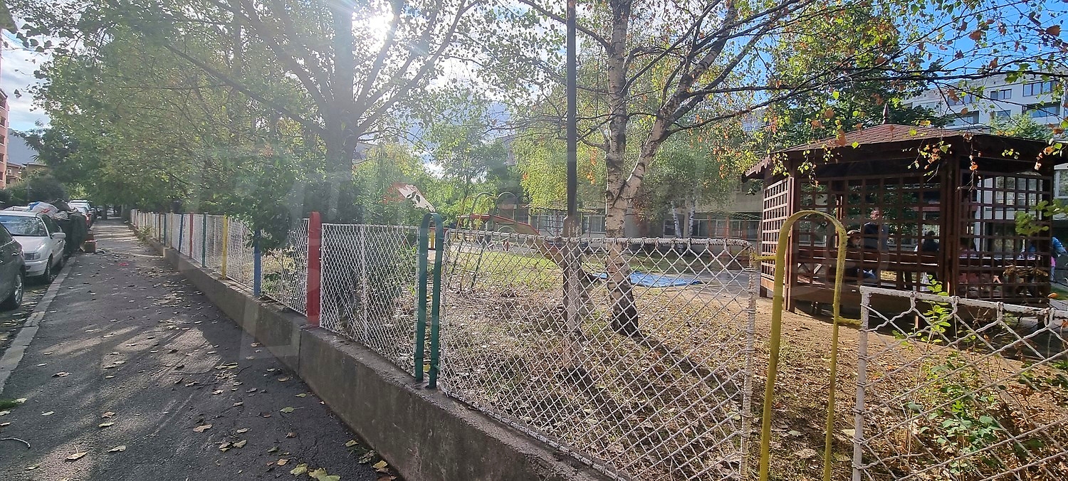 outside, garden