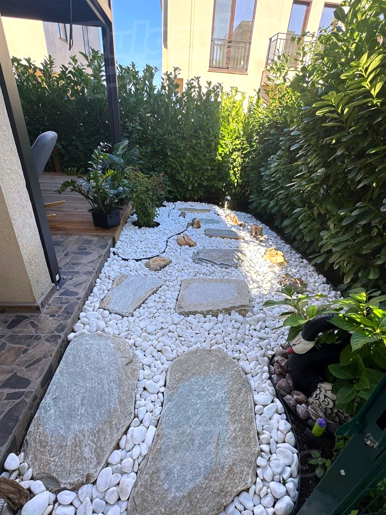 outside, garden