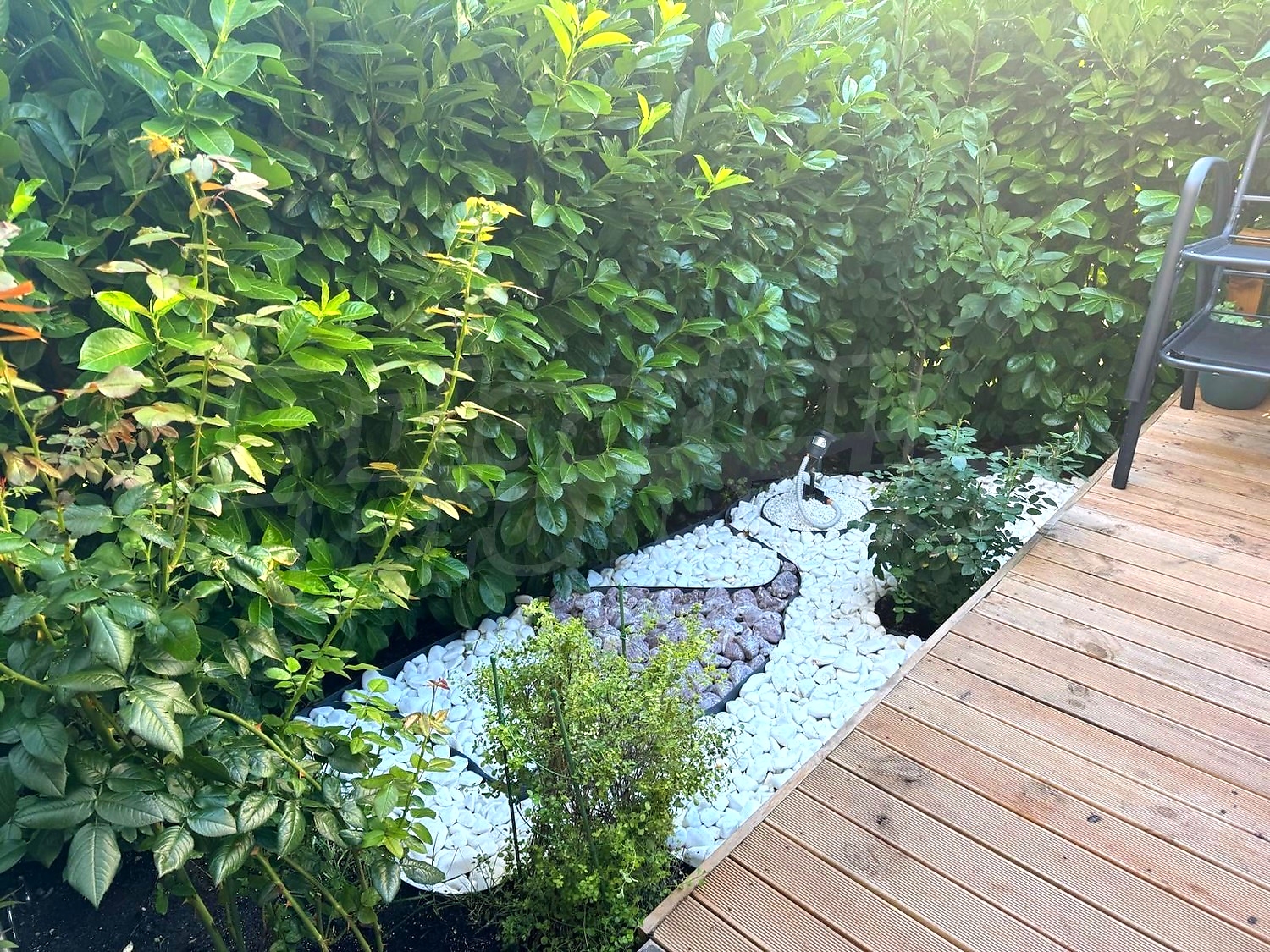 outside, garden