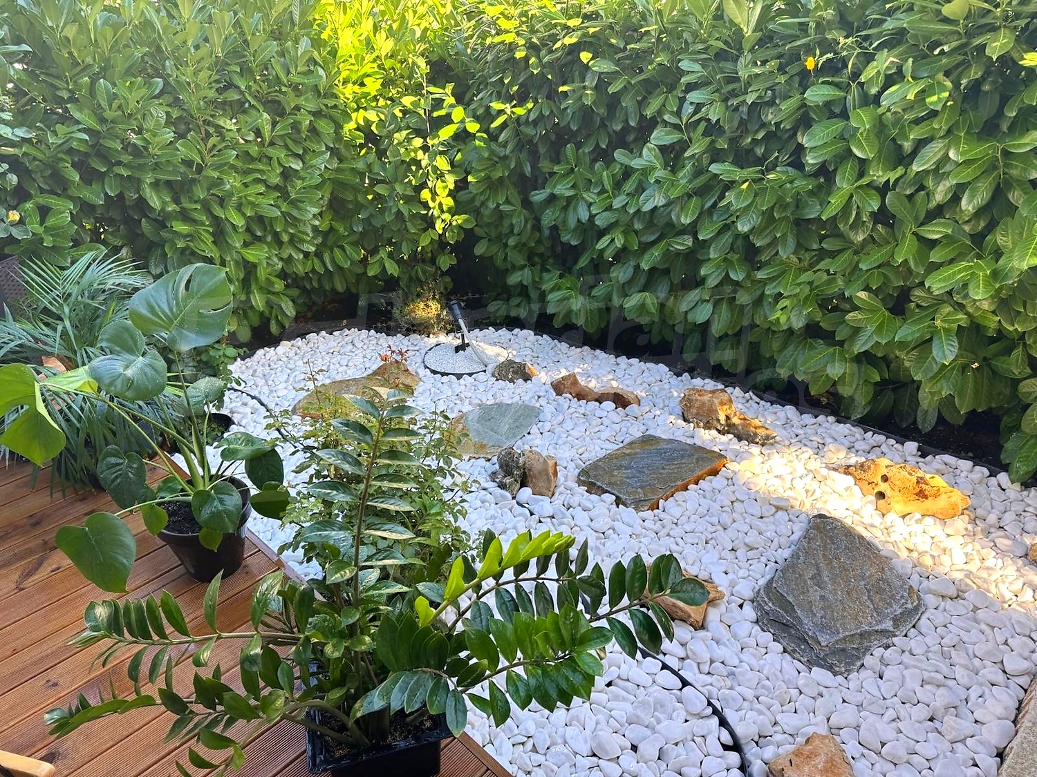 outside, garden, green area