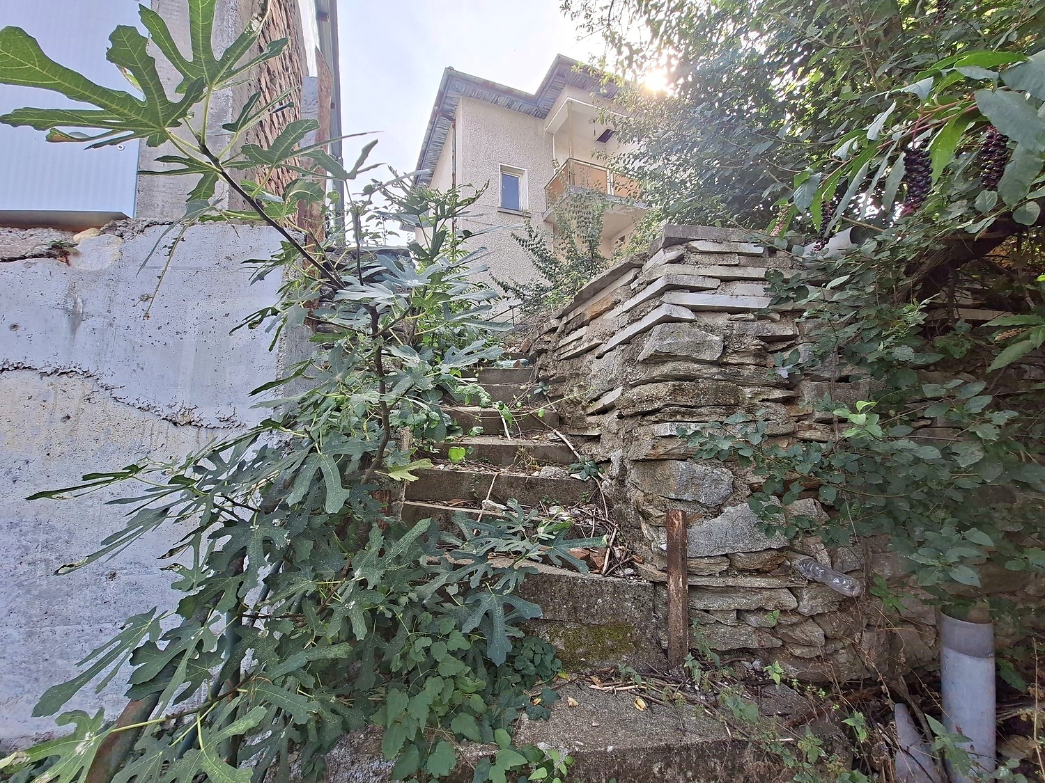 outside, facade, garden