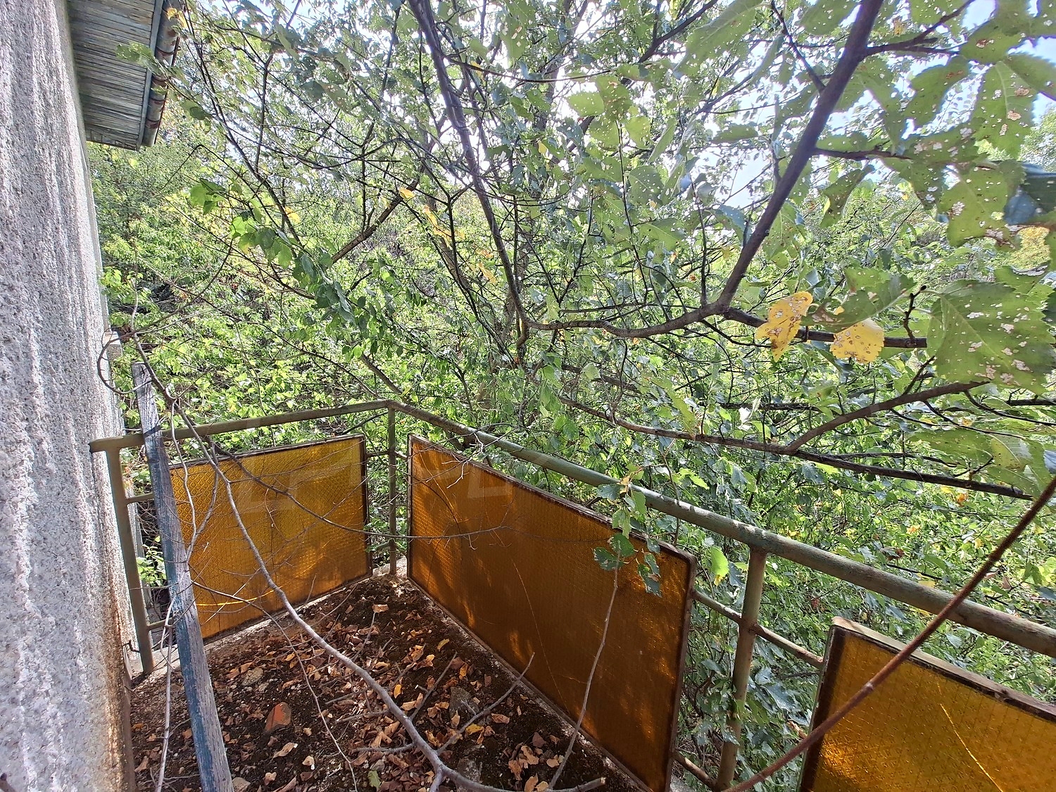 balcony, outside, green area