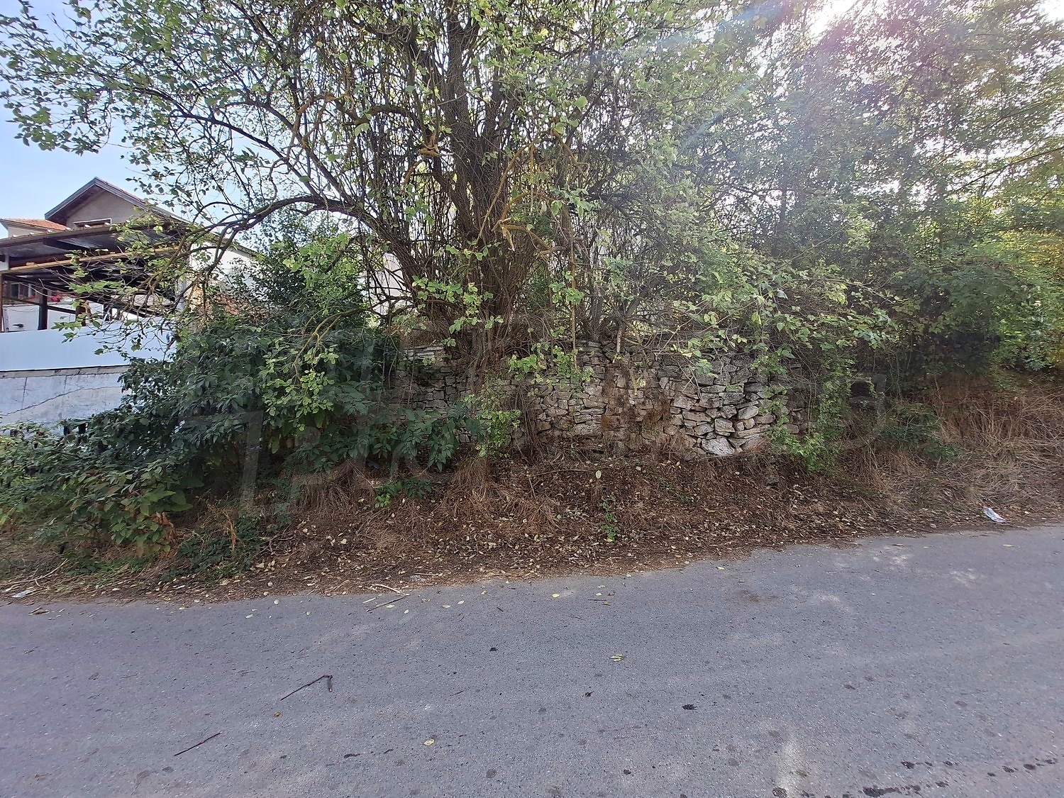 outside, facade, green area