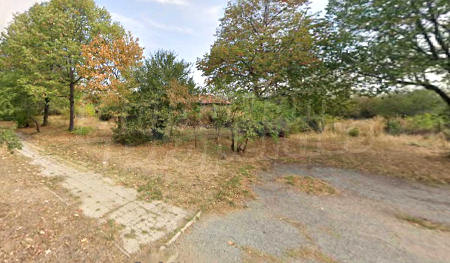 outside, garden, green area
