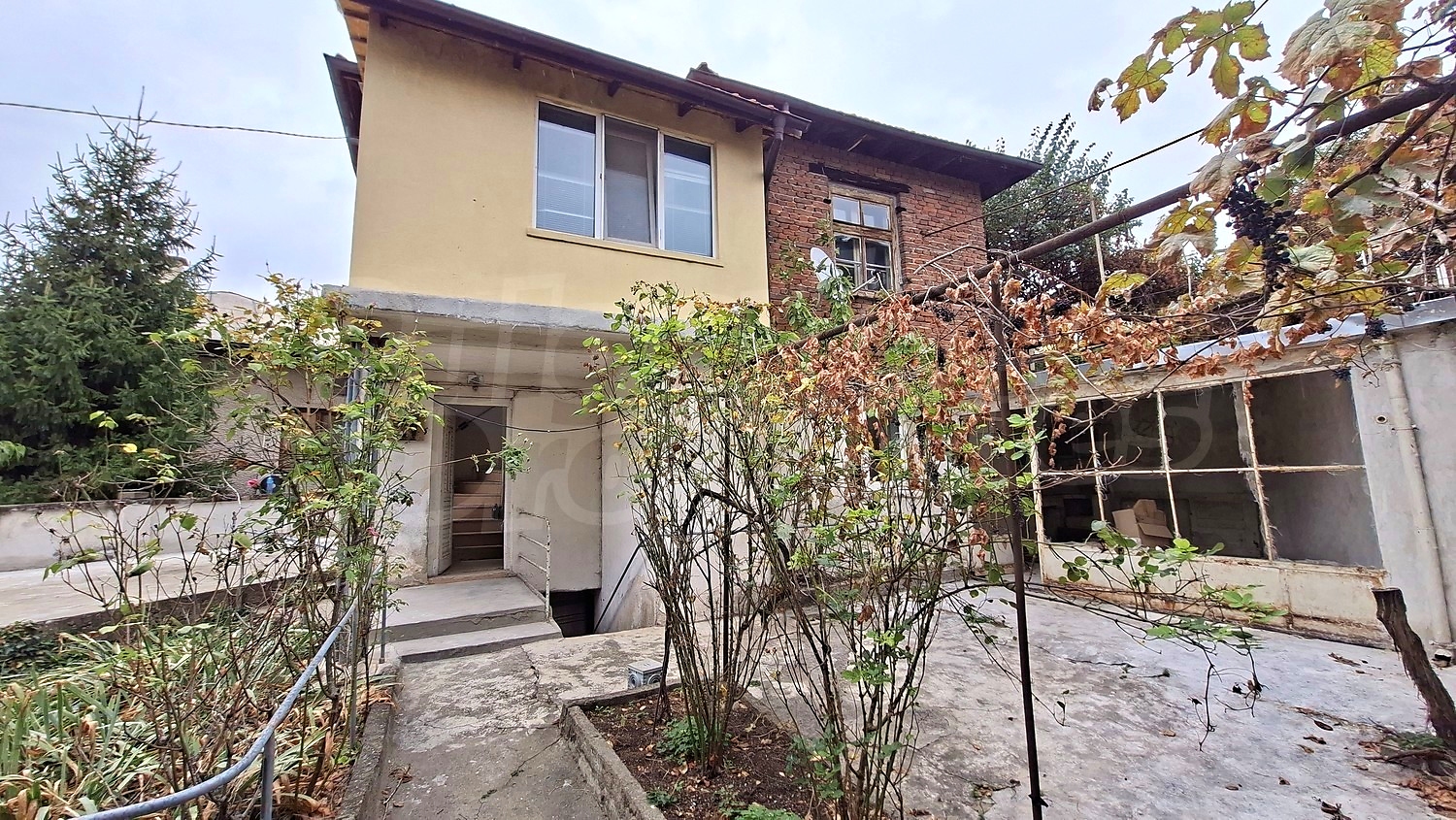 outside, garden
