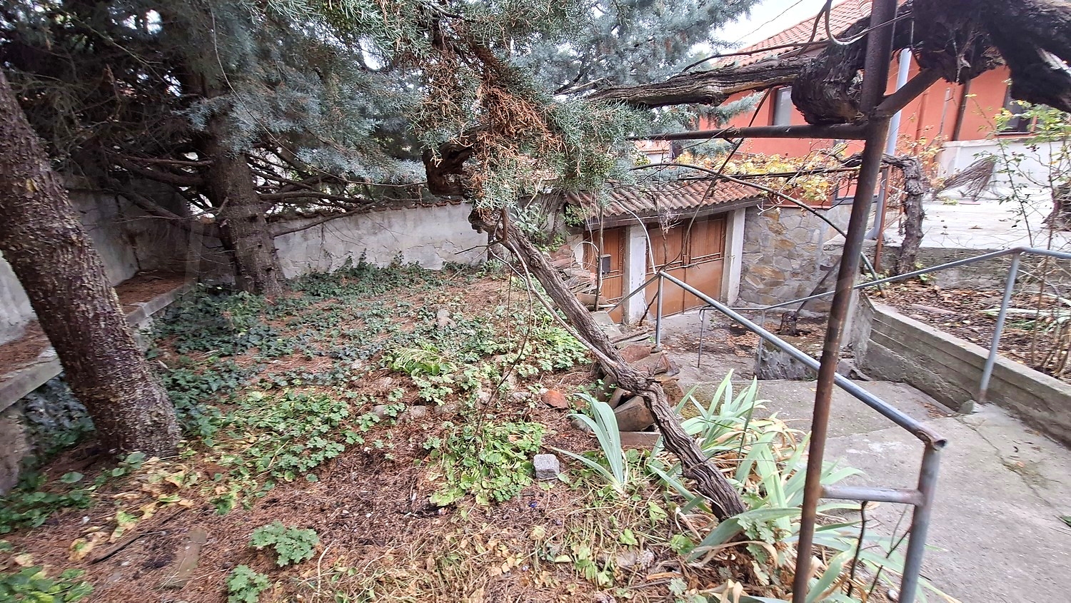 outside, garden
