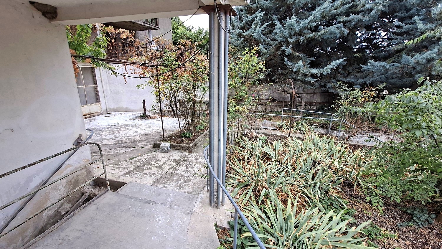 outside, garden