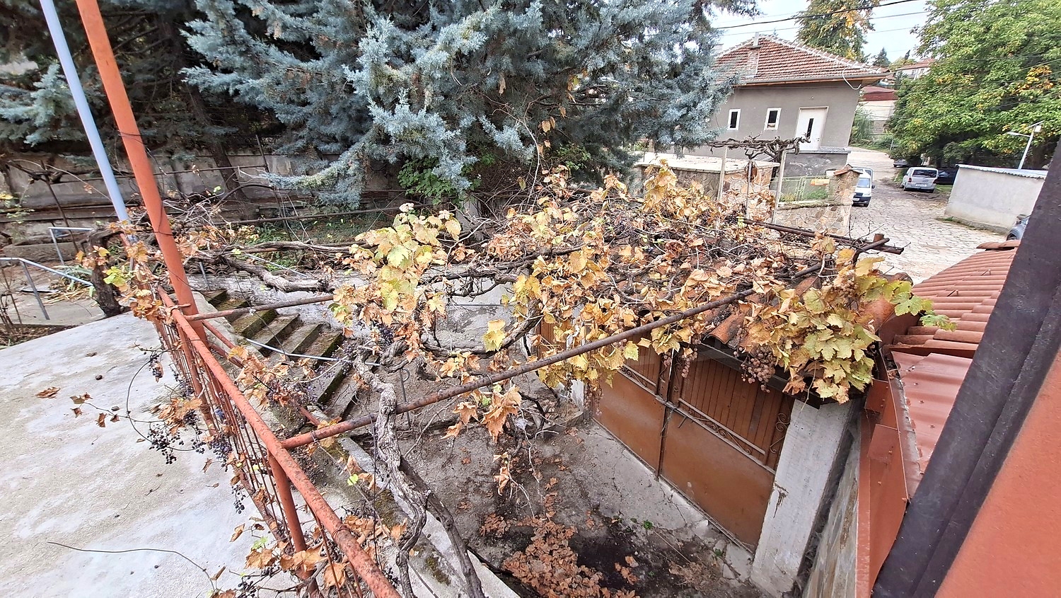 outside, garden