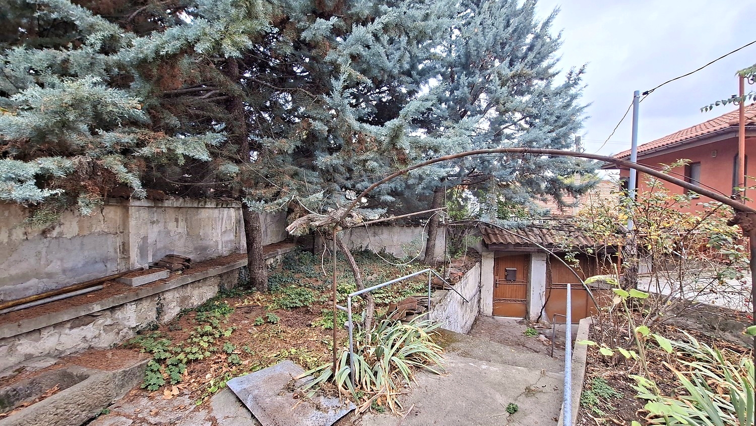 outside, garden