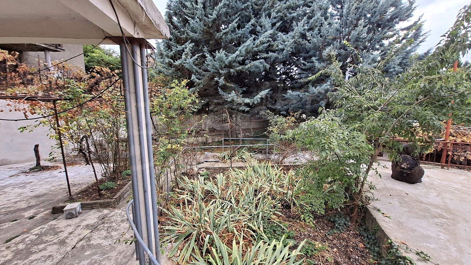 outside, garden, green area