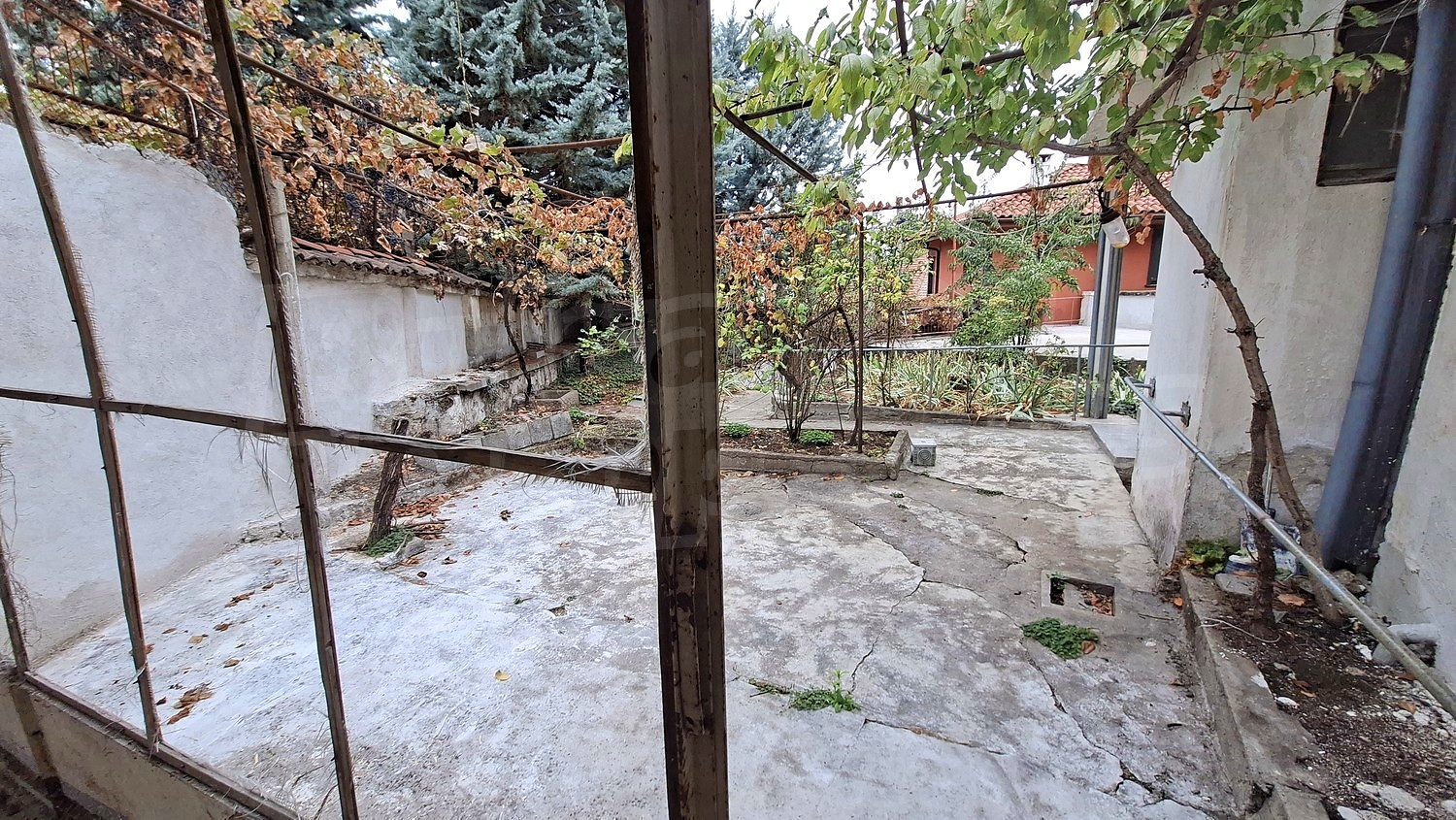 outside, garden