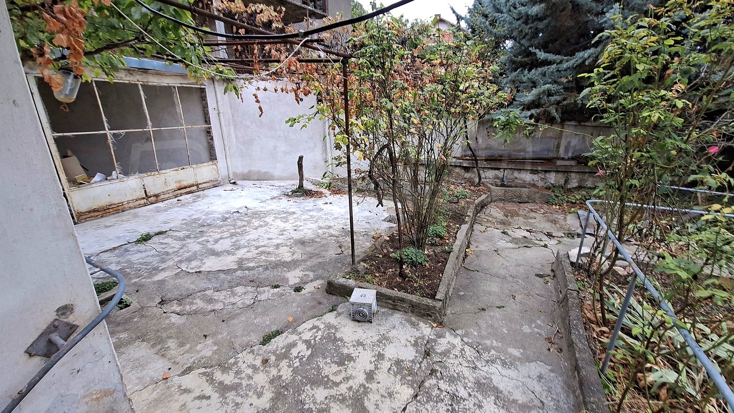 outside, garden