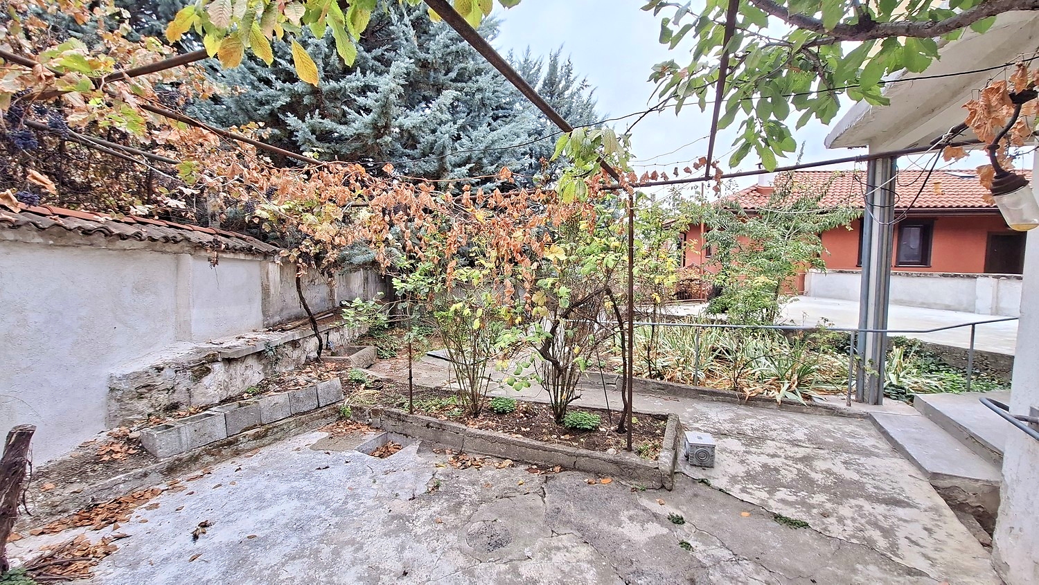 outside, garden