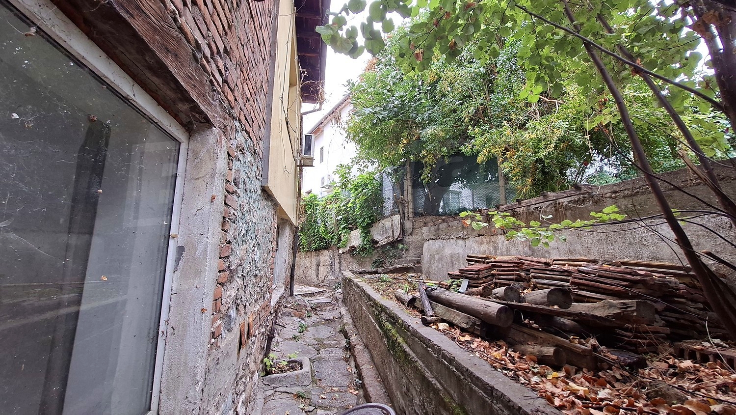 outside, garden