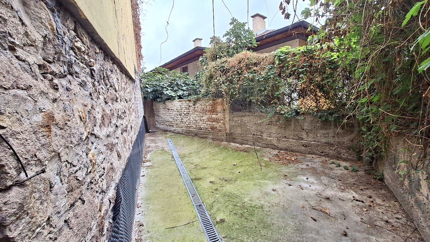 outside, garden